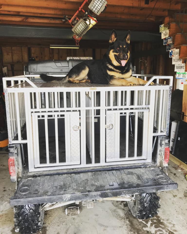 Polaris Ranger Dog Boxes