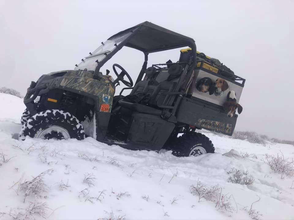 Polaris Ranger Dog Boxes