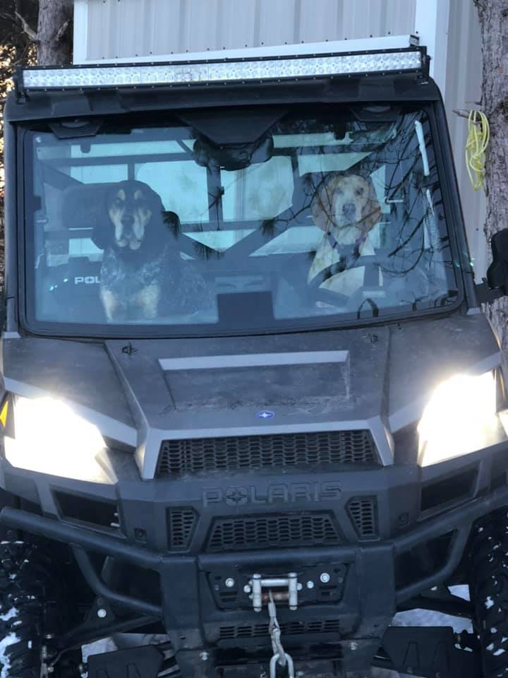 Polaris Ranger Dog Seats, Dog Restraints, And Dog Seat Belts